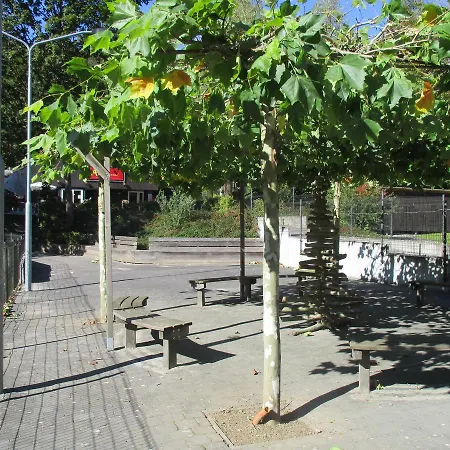 Bungalow Zonnebloem Grand Soleil * Durbuy