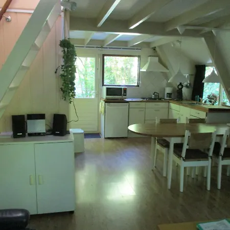 Chalet Bungalow Zonnebloem - Grand Soleil *
