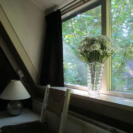Alpehytte Bungalow Zonnebloem Grand Soleil *
